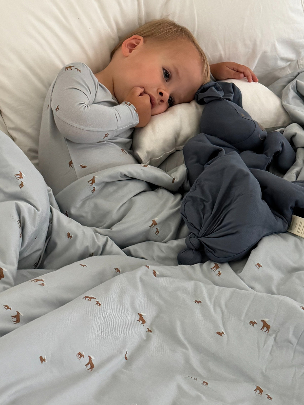 Light gray baby blanket with small moose print, folded around a sleeping toddler.