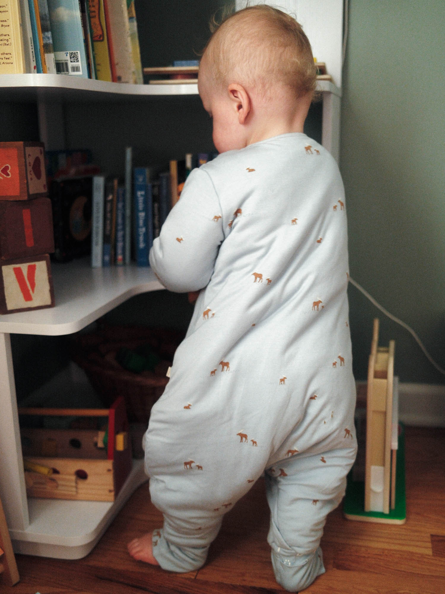 Long Sleeve Footie Sleep Sack - Moose / 1.0 TOG