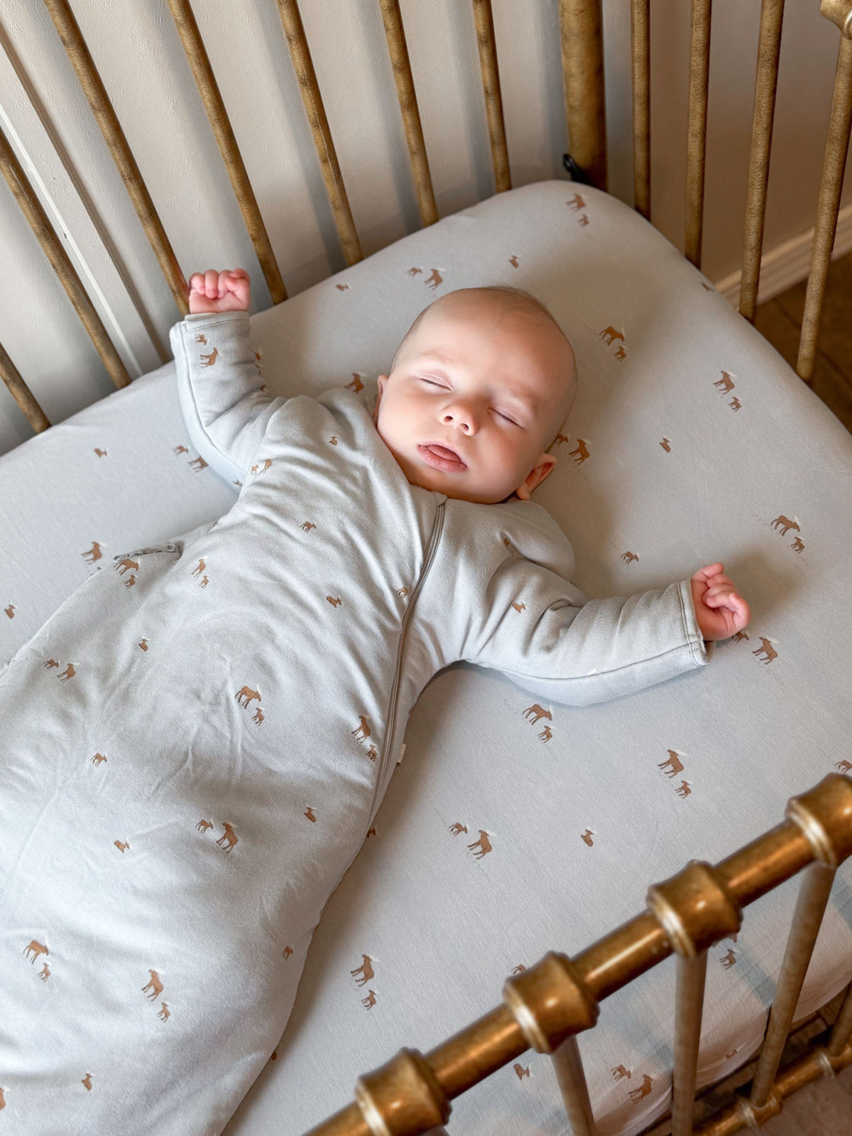 Crib Sheet - Moose
