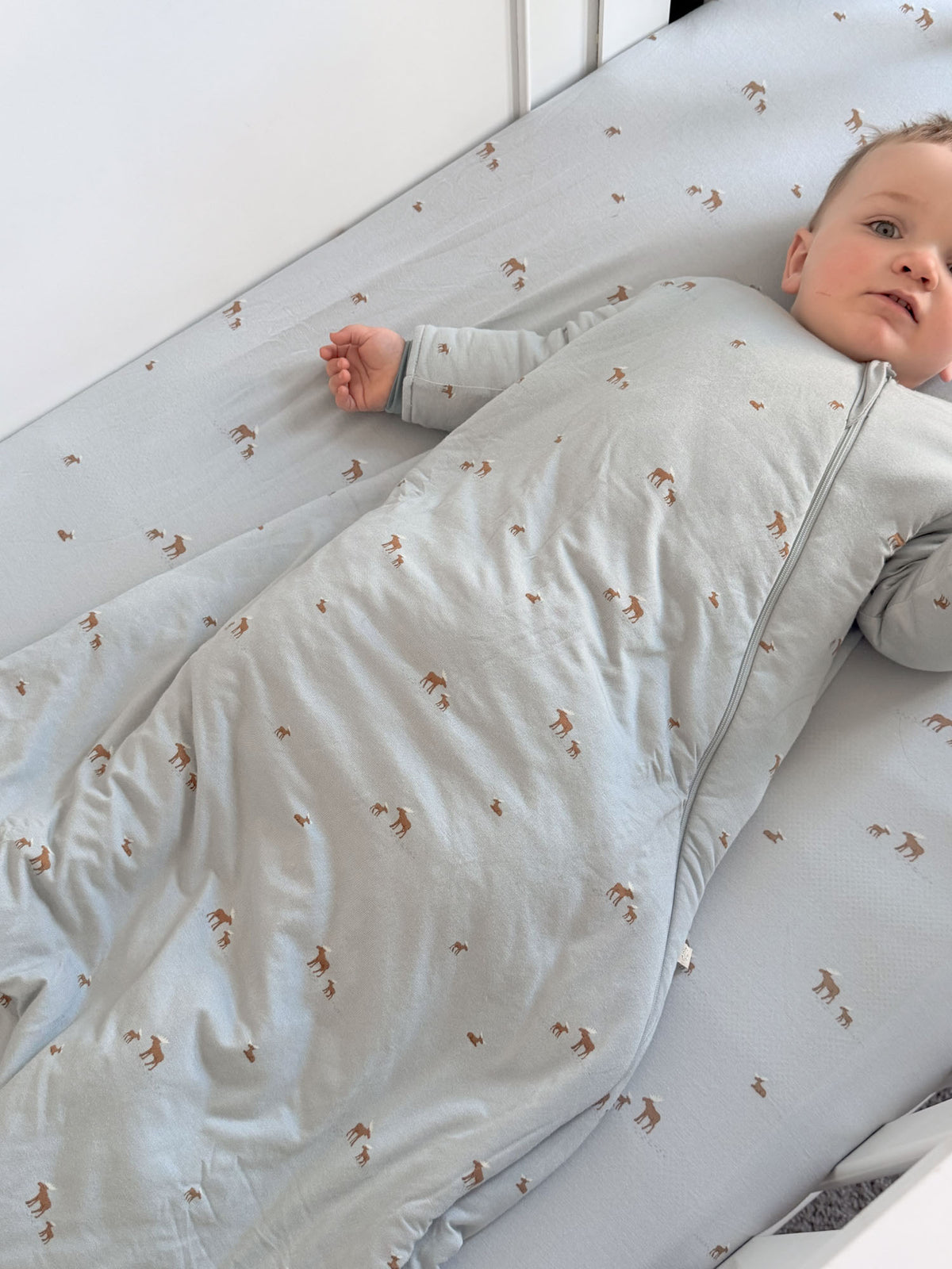 Long Sleeve Sleep Sack - Moose / 2.5 TOG