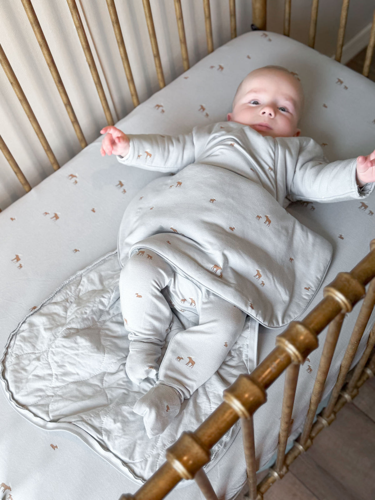 Long Sleeve Transitional Swaddle Sack - Moose / 1.0 TOG