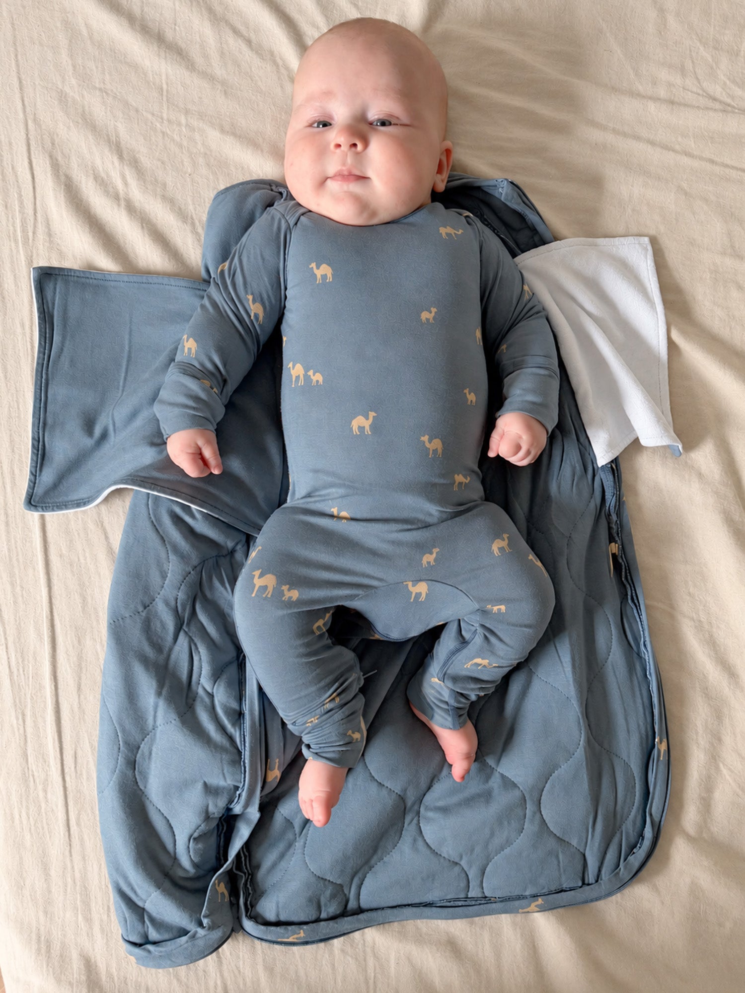 Swaddle Sleep Sack - Camels / 2.5 TOG