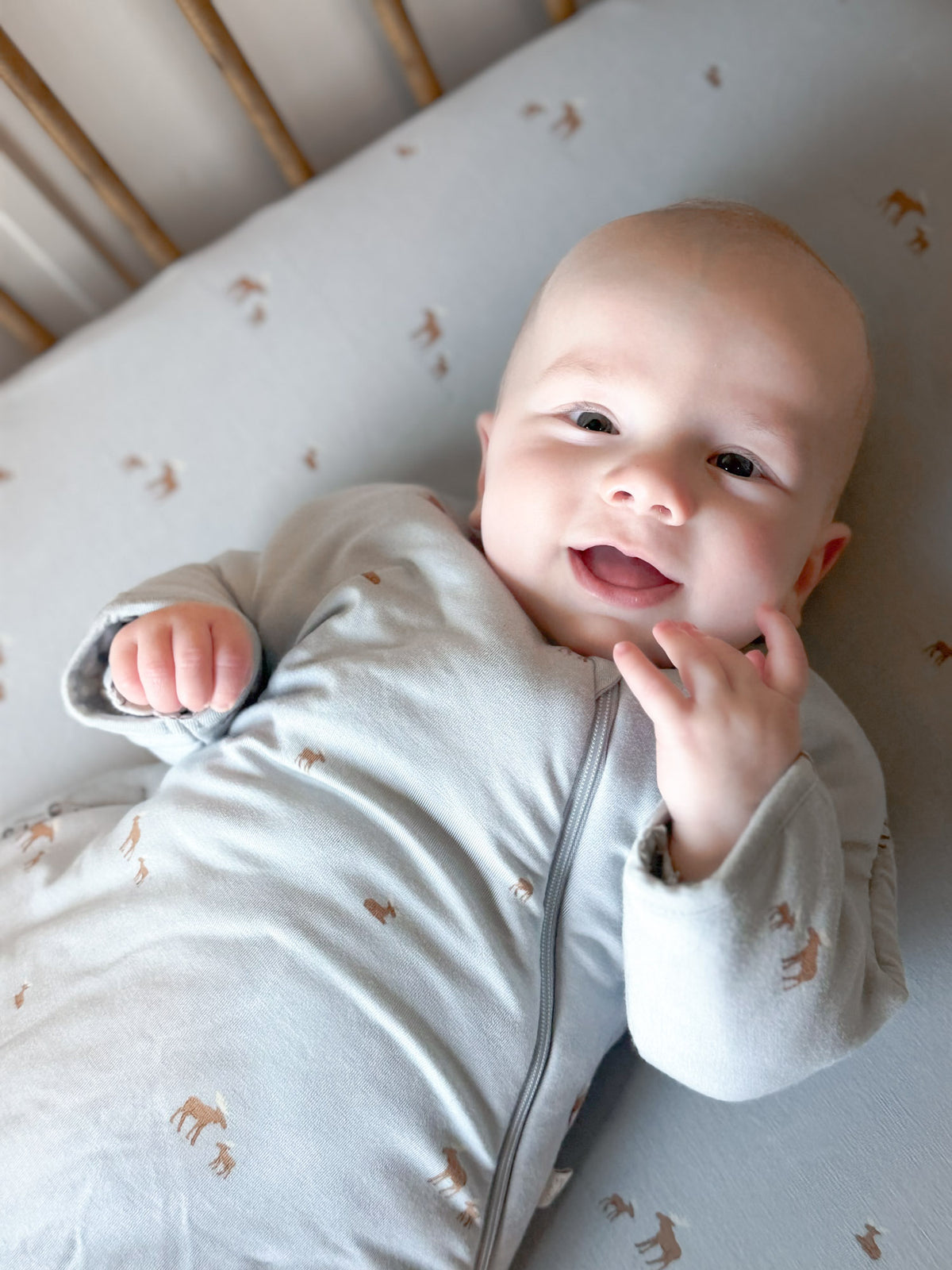 Long Sleeve Transitional Swaddle Sack - Moose / 2.5 TOG