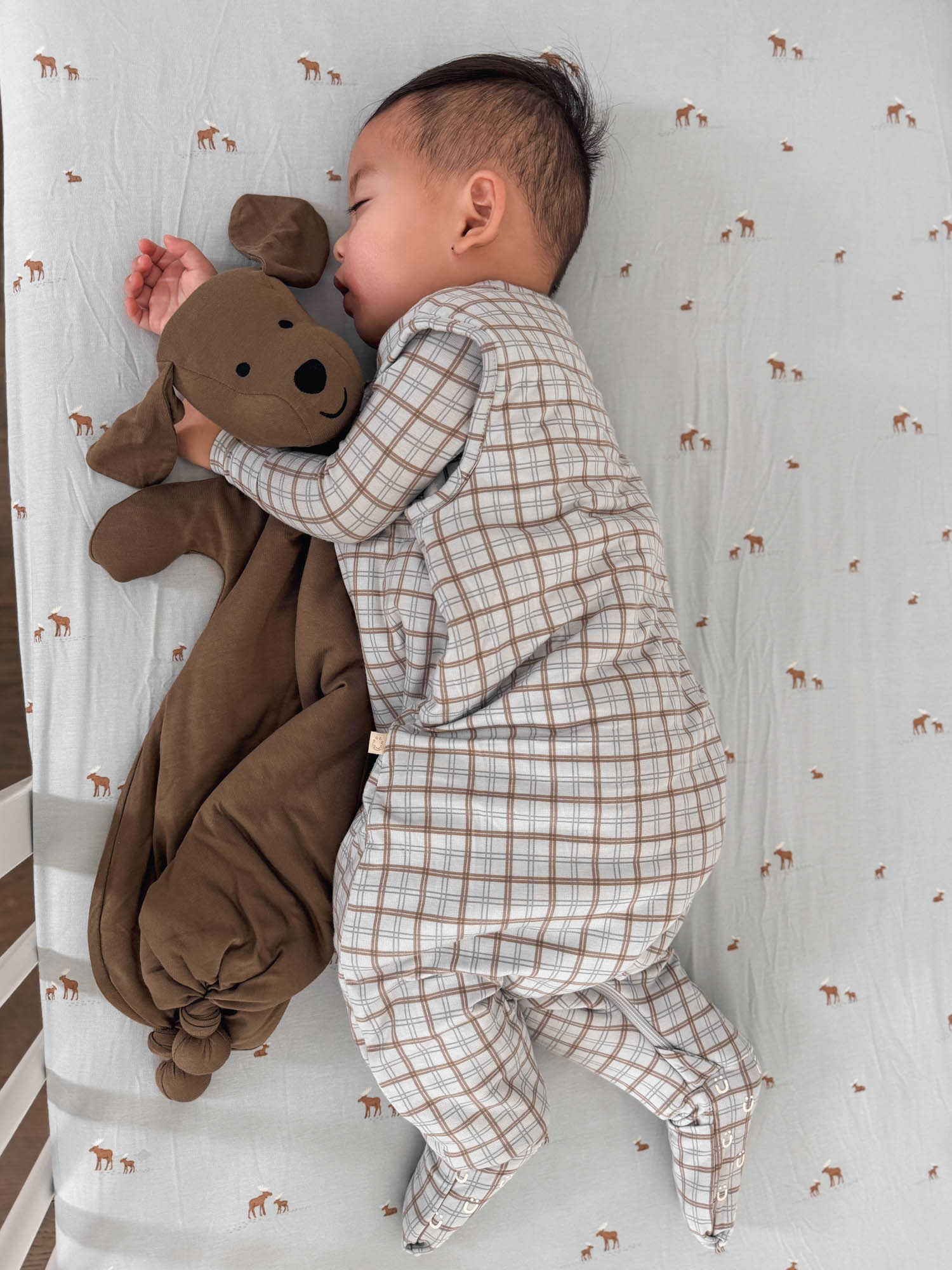 Crib Sheet - Moose