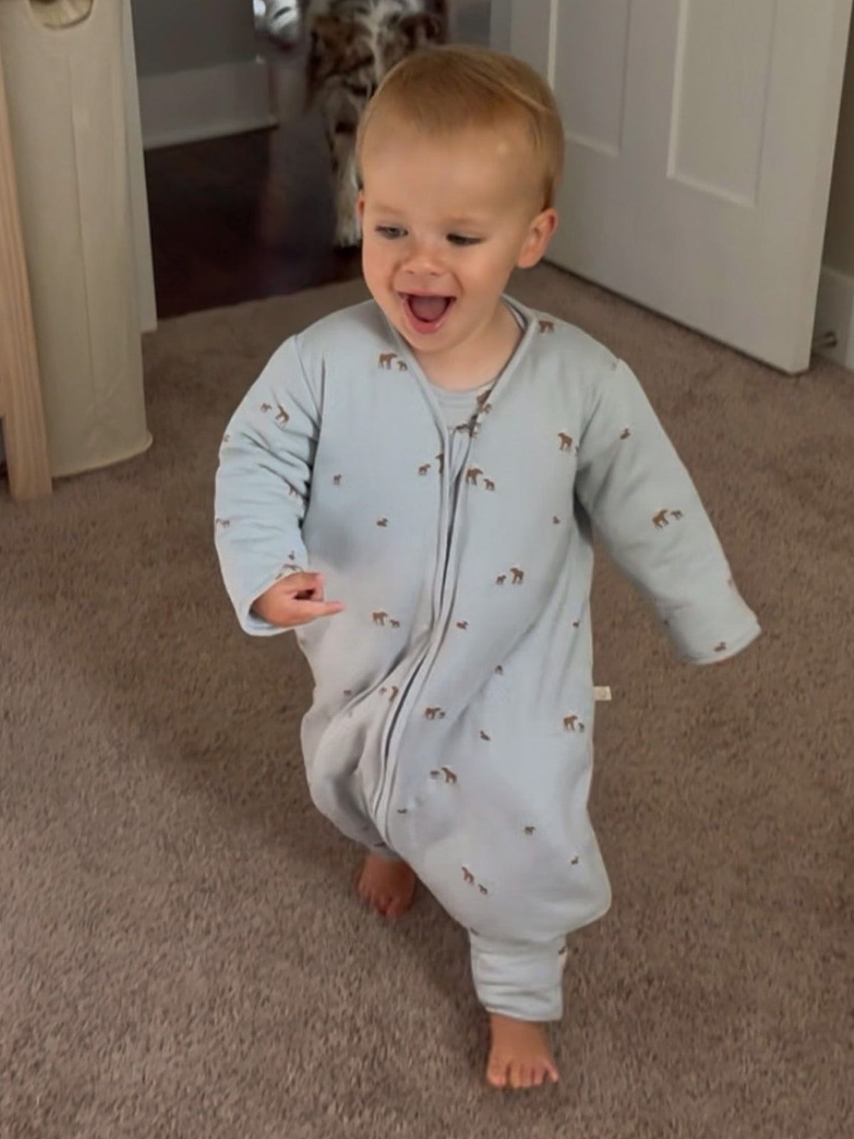 Long Sleeve Footie Sleep Sack - Moose / 1.0 TOG