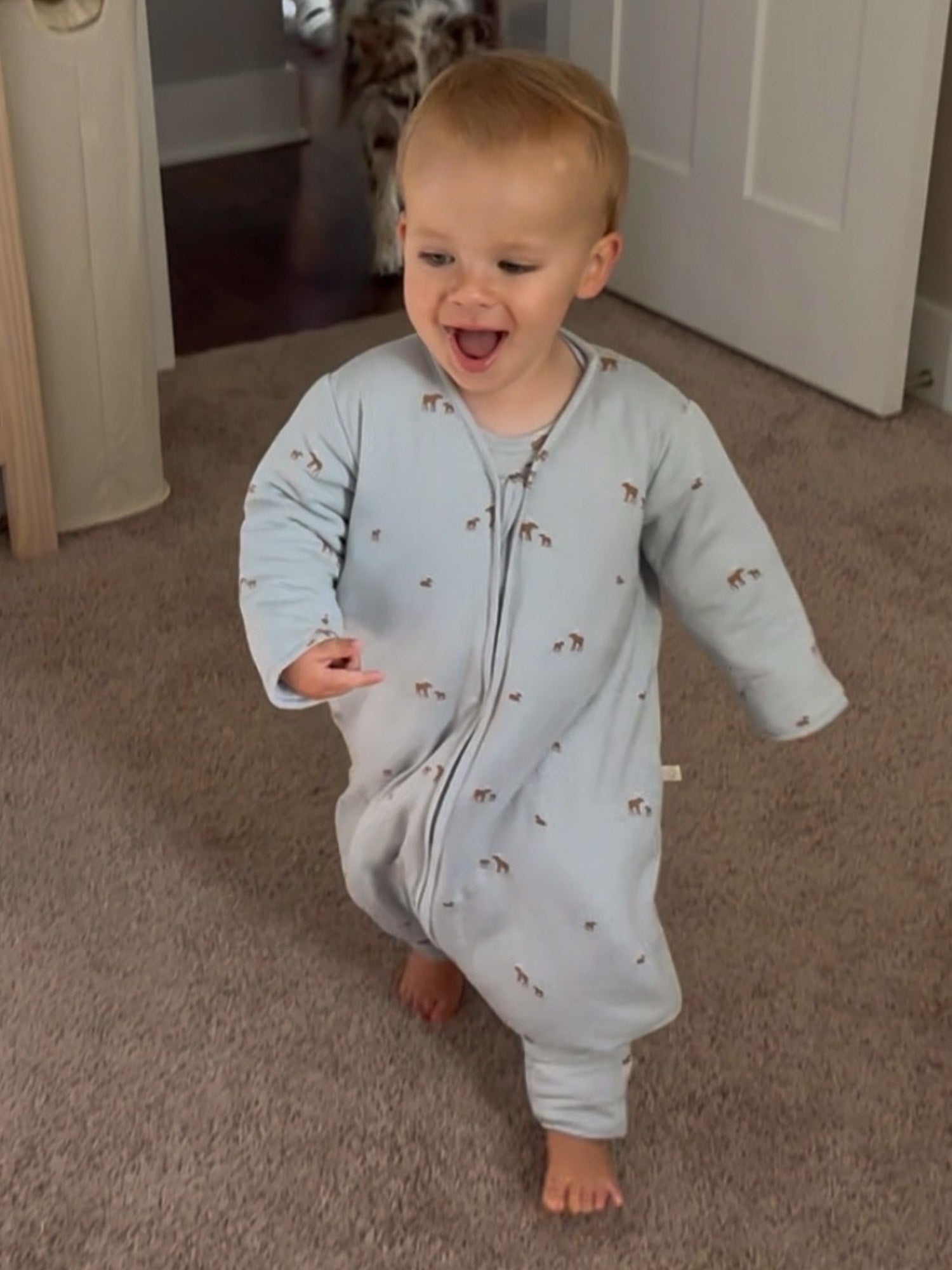 Long Sleeve Footie Sleep Sack - Moose / 1.0 TOG