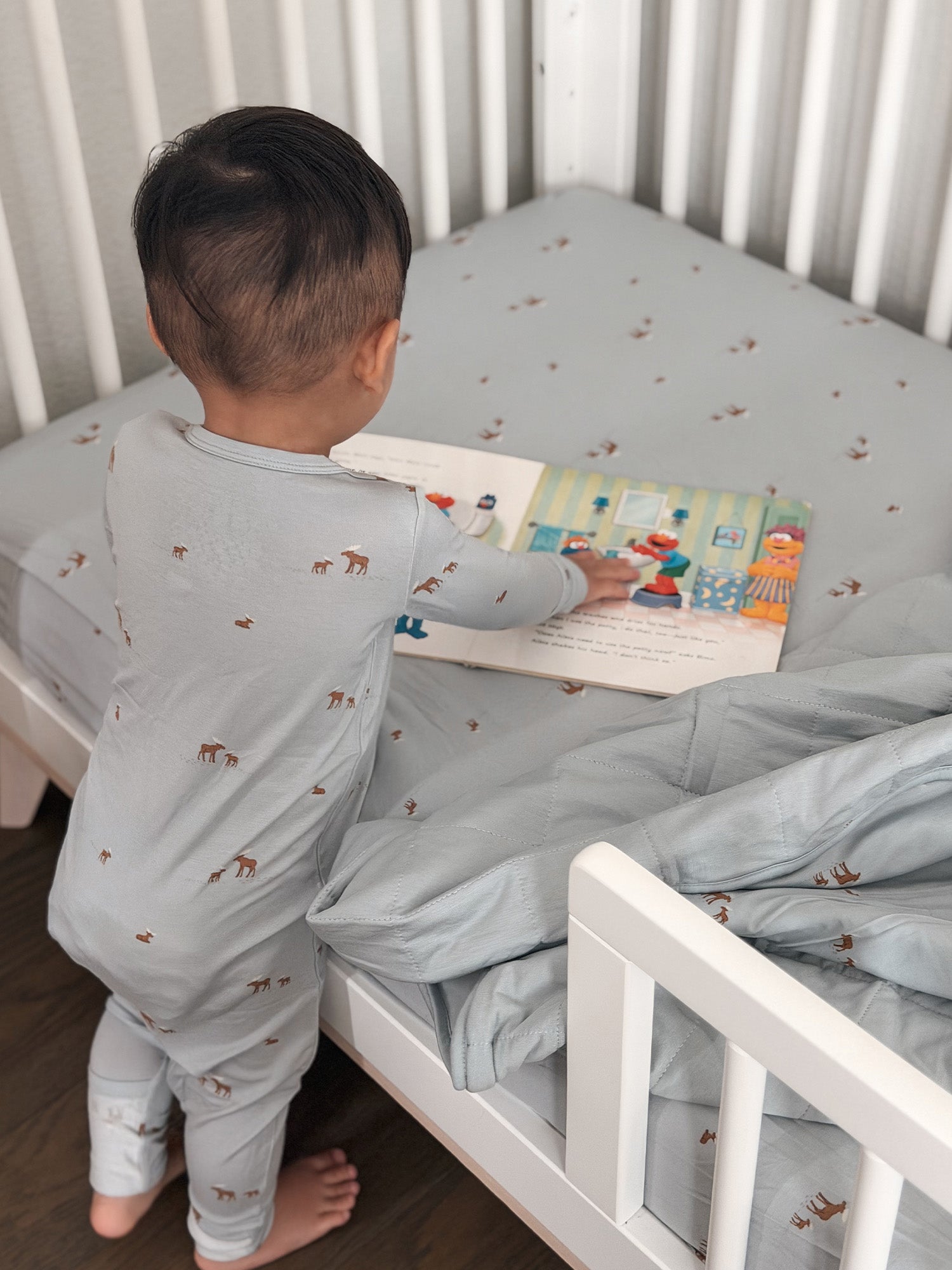 Cloud Blanket - Moose / 2.5 TOG